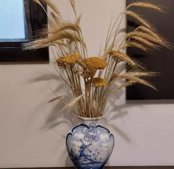 Aamiaismajoitus (B&B) Bed & Brood Morgenrood