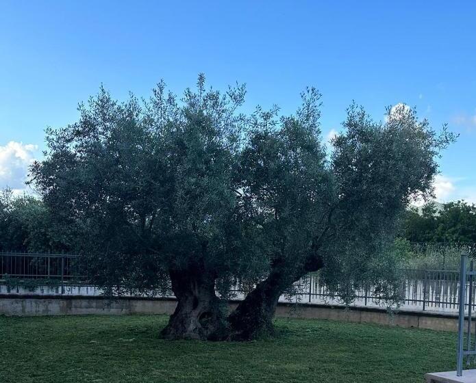 膳宿费 Il Melograno