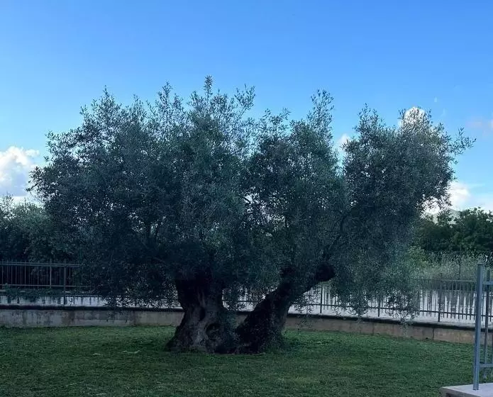 پانسیون Il Melograno