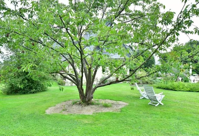 ベッドアンドブレックファースト Au Milieu Des Haras