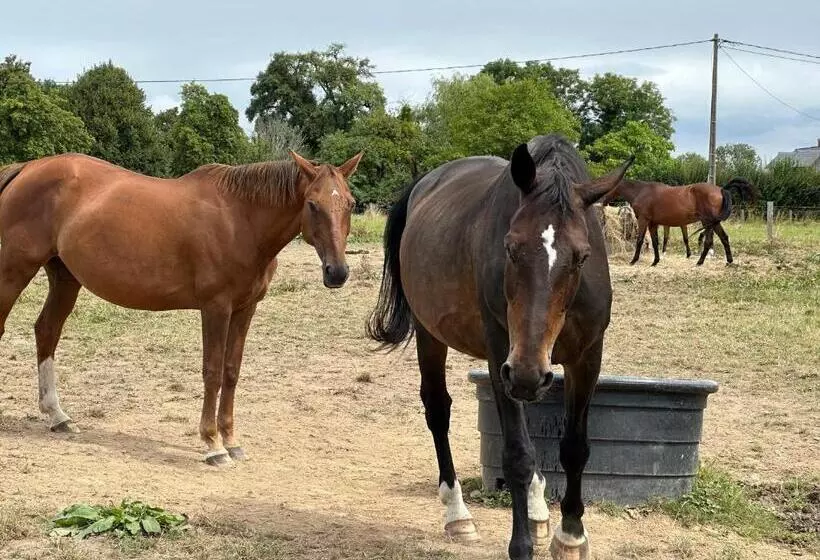 ベッドアンドブレックファースト Au Milieu Des Haras