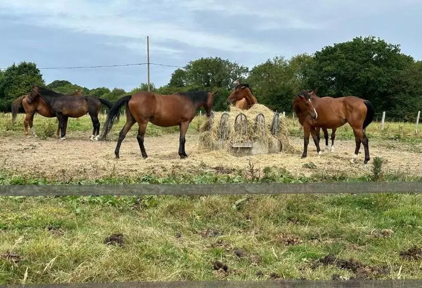 ベッドアンドブレックファースト Au Milieu Des Haras