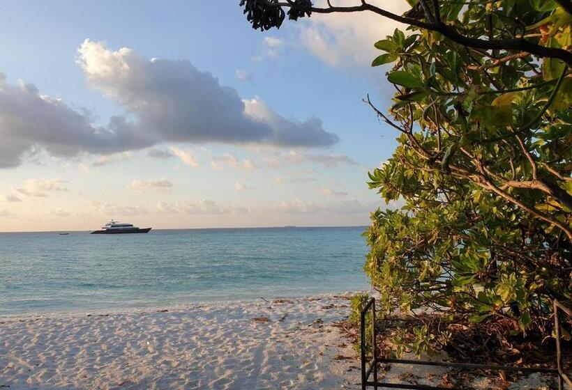 هتل Dhigurah Tourist