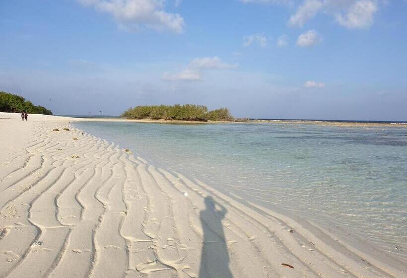 هتل Dhigurah Tourist