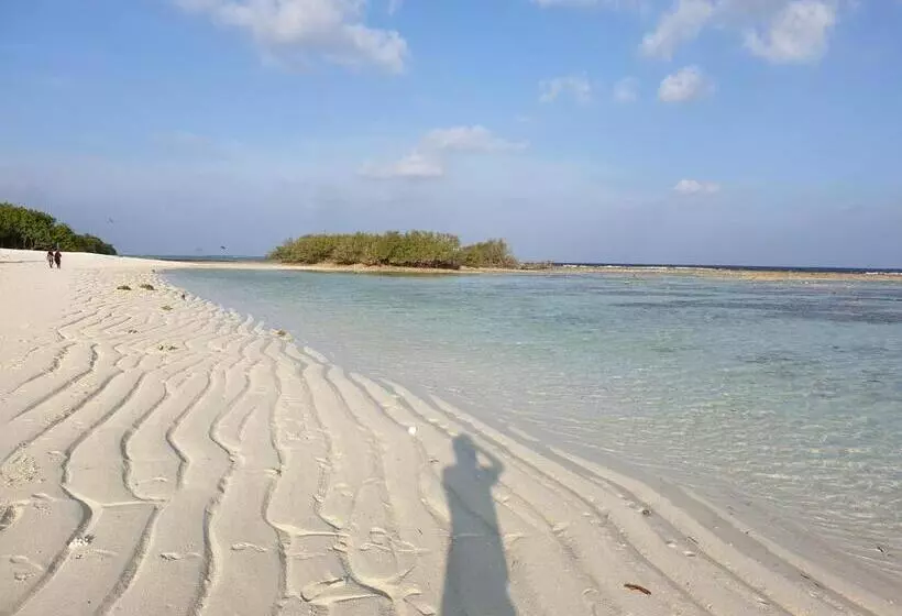 هتل Dhigurah Tourist