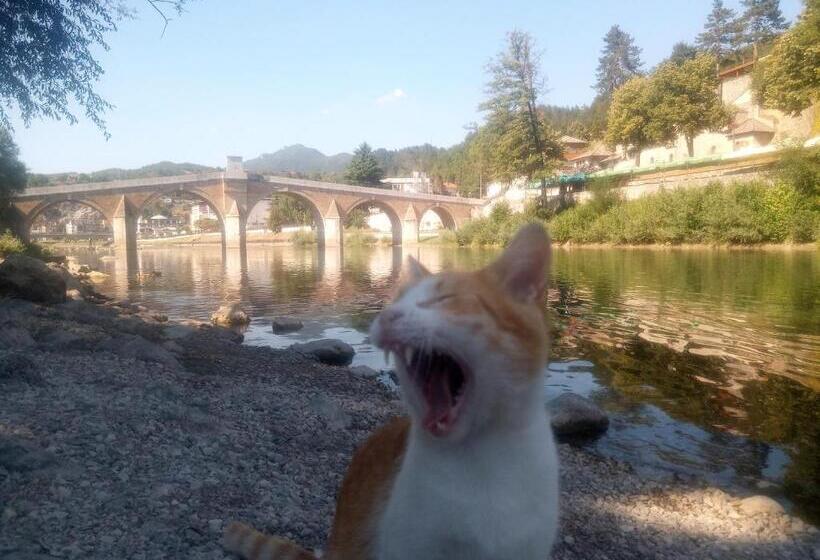 ペンション Apartman 1