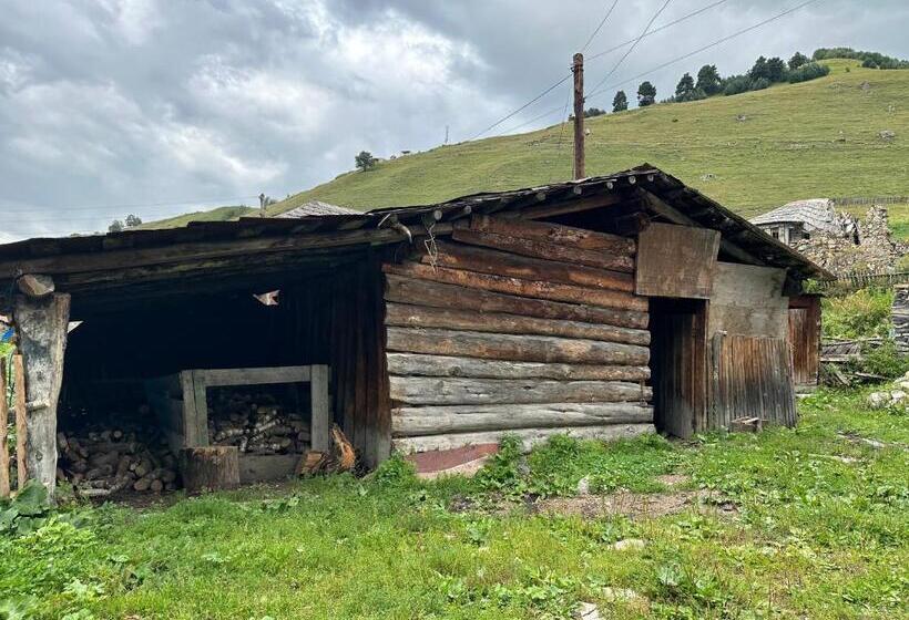 پانسیون Muhran&nargiza Guesthouse