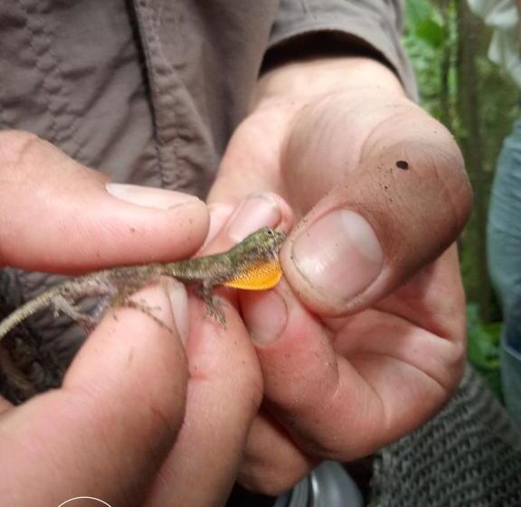 پانسیون Princesa Del Rio