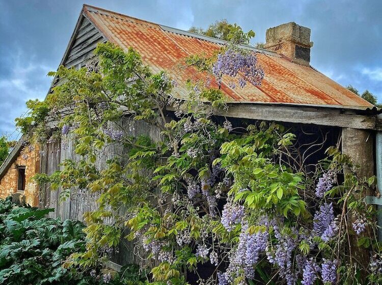 مبيت وإفطار Cherry Plum Cottages