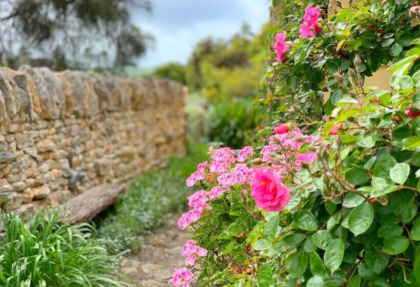مبيت وإفطار Cherry Plum Cottages
