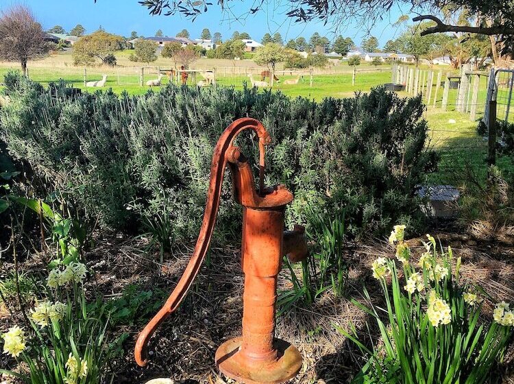 مبيت وإفطار Cherry Plum Cottages