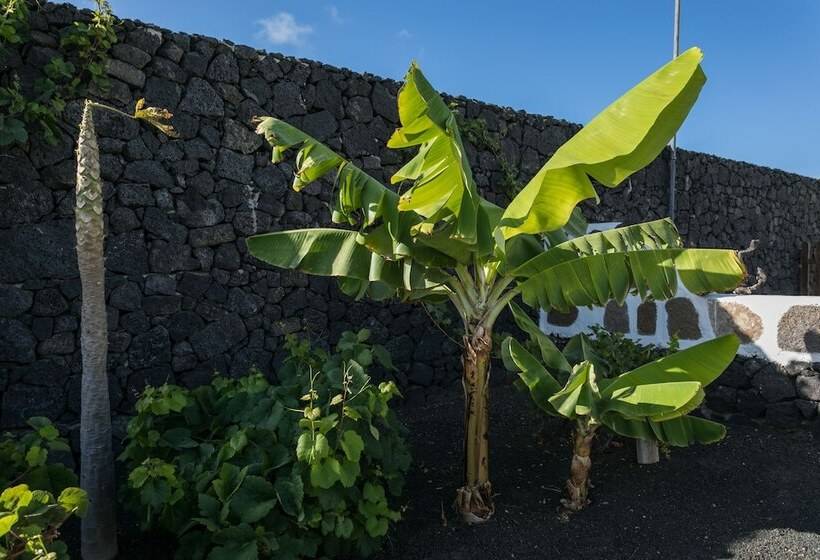 مبيت وإفطار Villa El Jable Lanzarote
