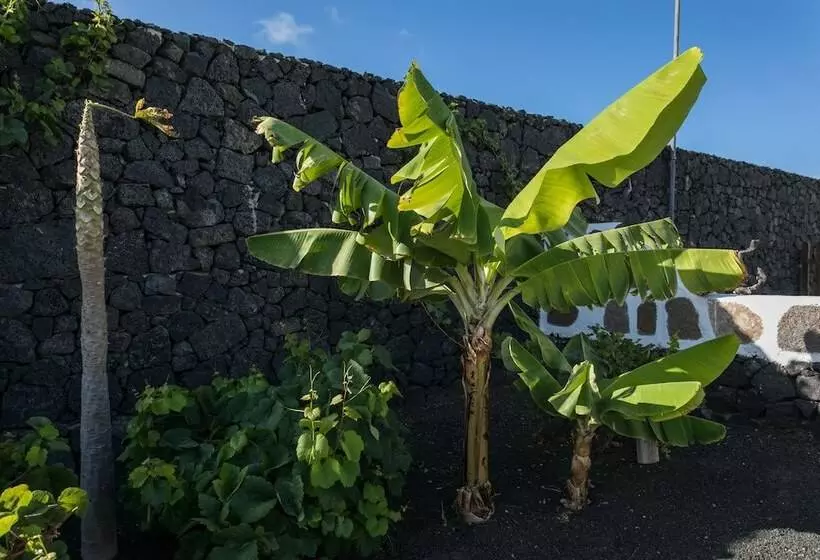 تختخواب و صبحانه Villa El Jable Lanzarote