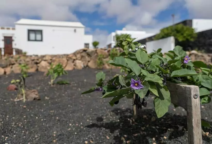 تختخواب و صبحانه Villa El Jable Lanzarote