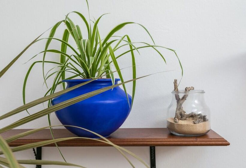 مبيت وإفطار Villa El Jable Lanzarote