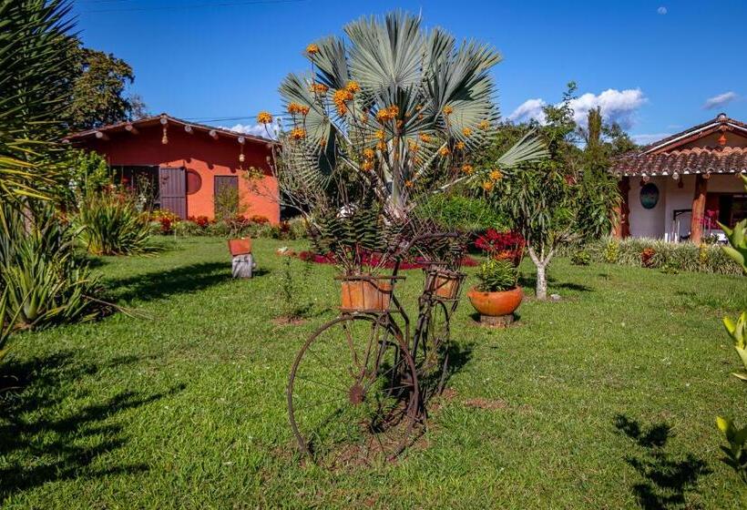 ホテル Estorake San Agustin Huila