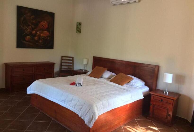 فندق La Villa Mexicana By Diving Prestige