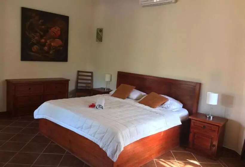 هتل La Villa Mexicana By Diving Prestige