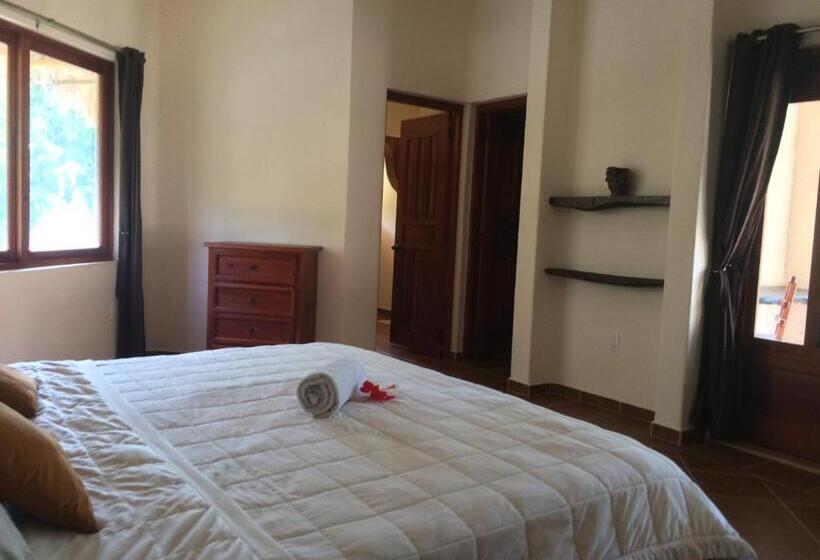 فندق La Villa Mexicana By Diving Prestige