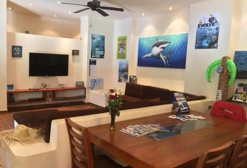 هتل La Villa Mexicana By Diving Prestige