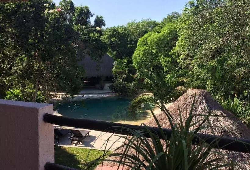 هتل La Villa Mexicana By Diving Prestige
