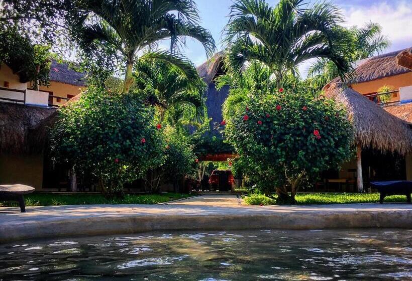 فندق La Villa Mexicana By Diving Prestige