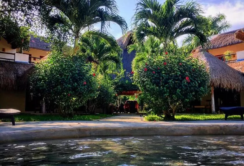 هتل La Villa Mexicana By Diving Prestige