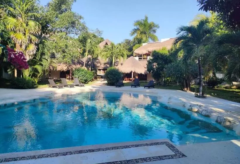 هتل La Villa Mexicana By Diving Prestige