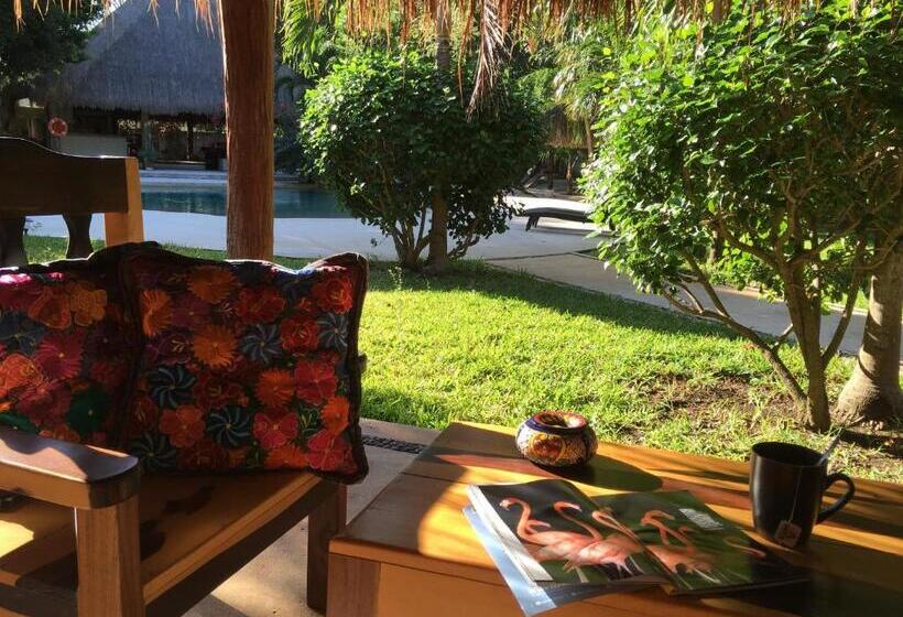 فندق La Villa Mexicana By Diving Prestige