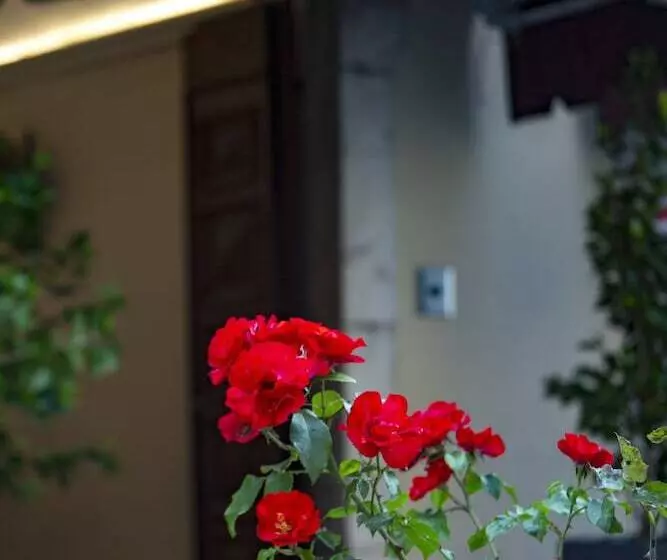 ホテル Palazzo Franceschini