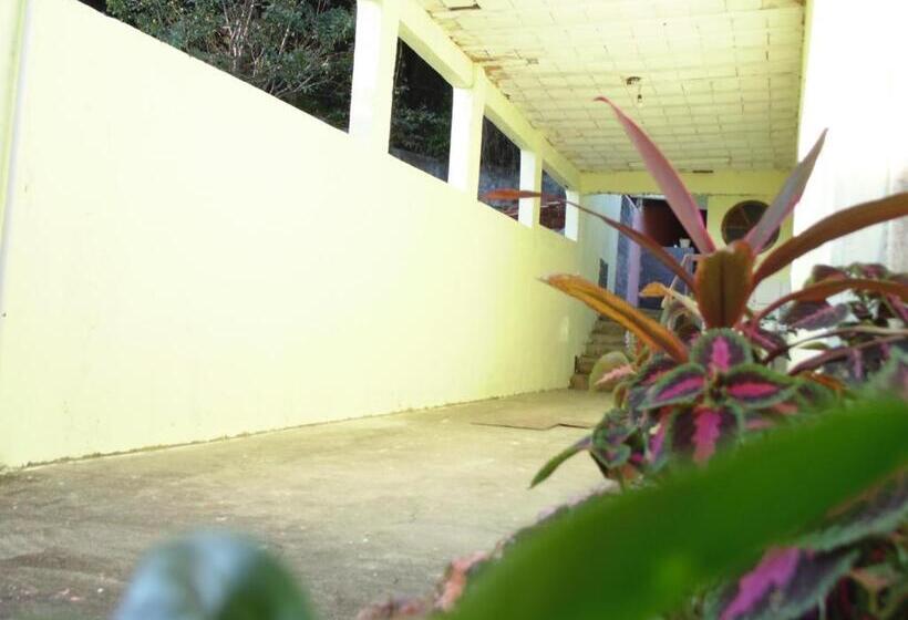 Hostel Pousada Exalta Turismo Da Ilha Da Madeira   Costa Verde Rj