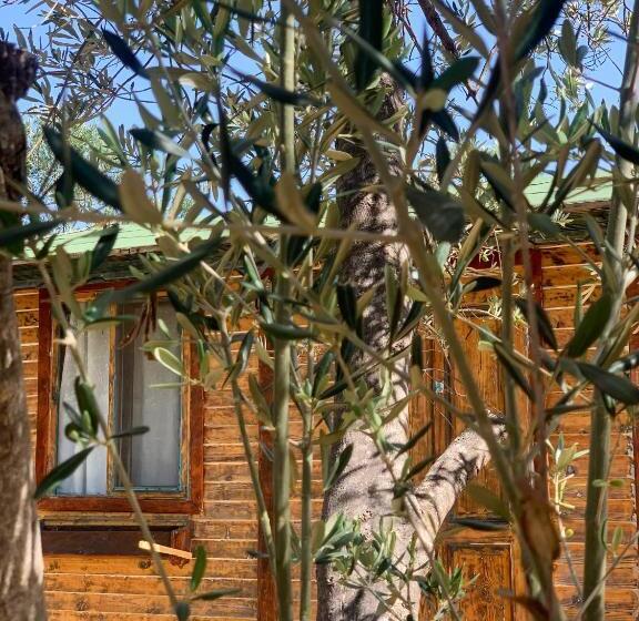 민박 Mesken Bungalow