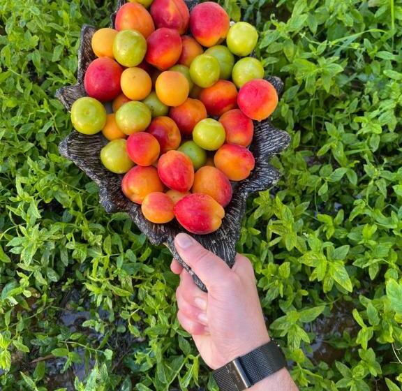 هاستل Muab Rural Village