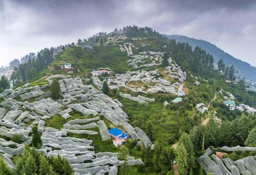 Общежитие Zostel Kotgarh