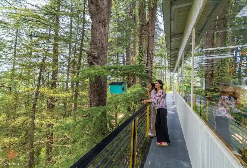 Retkeilymaja Zostel Kotgarh