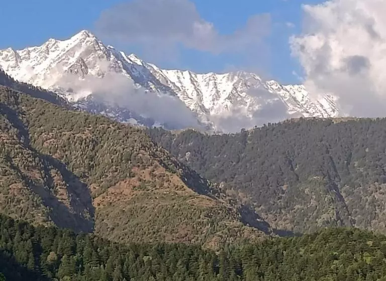 ベッドアンドブレックファースト Swaran Bnb Near Mcleodganj