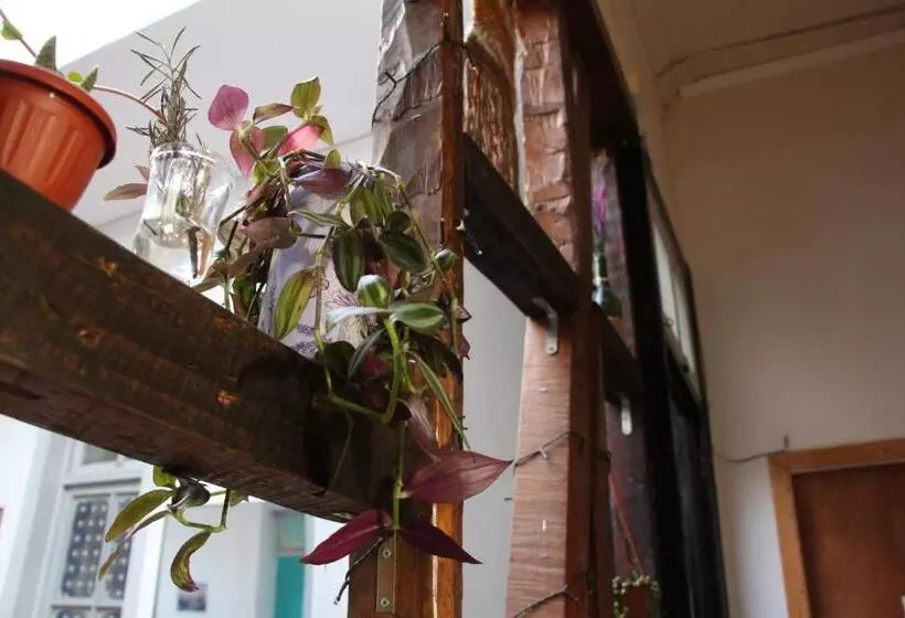 تختخواب و صبحانه Valparadise Hostel