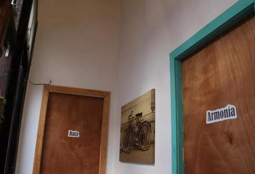 تختخواب و صبحانه Valparadise Hostel
