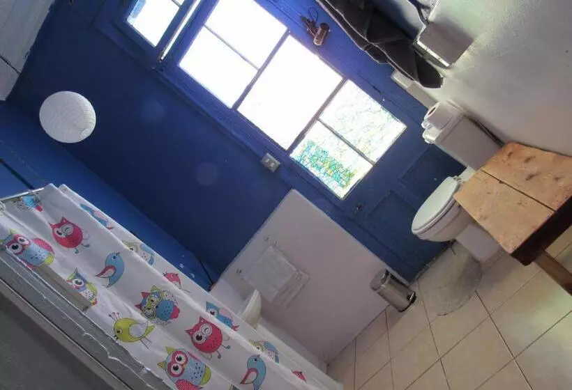 تختخواب و صبحانه Valparadise Hostel