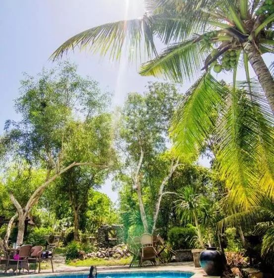 ホテル Paradise Palm Resort