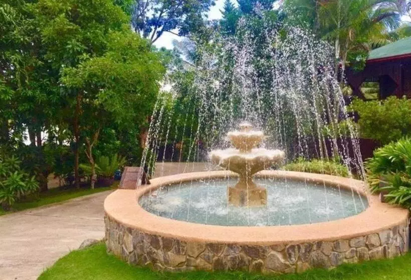 ホテル Paradise Palm Resort