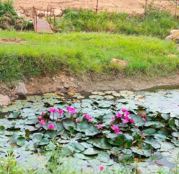 ホテル The Shire Charming Farmstay