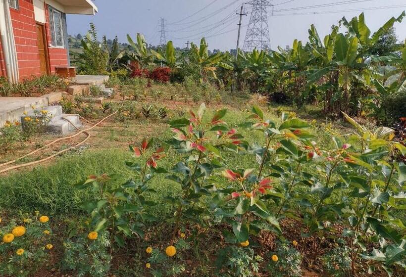 ホテル The Shire Charming Farmstay