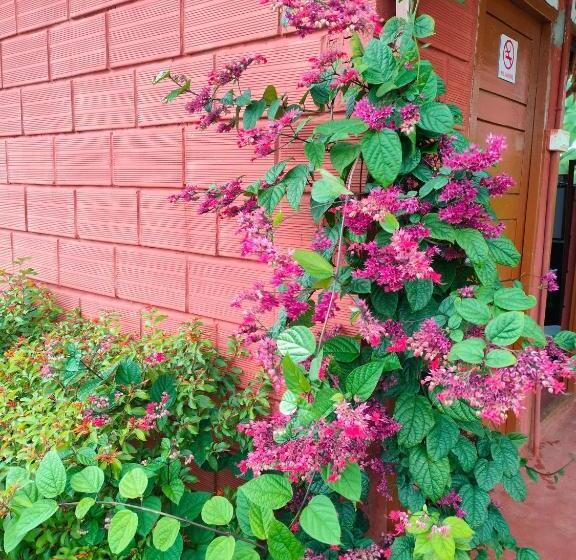 ホテル The Shire Charming Farmstay