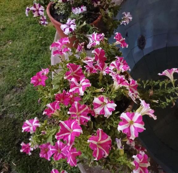 Pensão Baba Paying Guest House