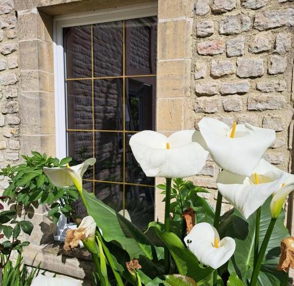 بنسيون La Queue Du Chat