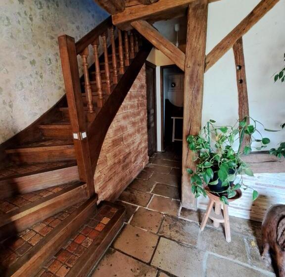 بنسيون La Queue Du Chat