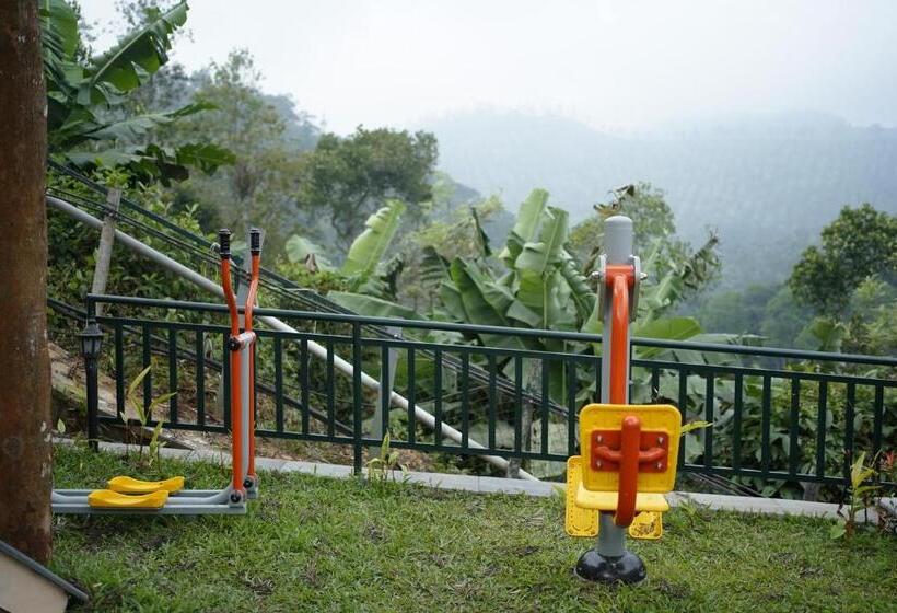 אתר נופש The Violet Thekkady