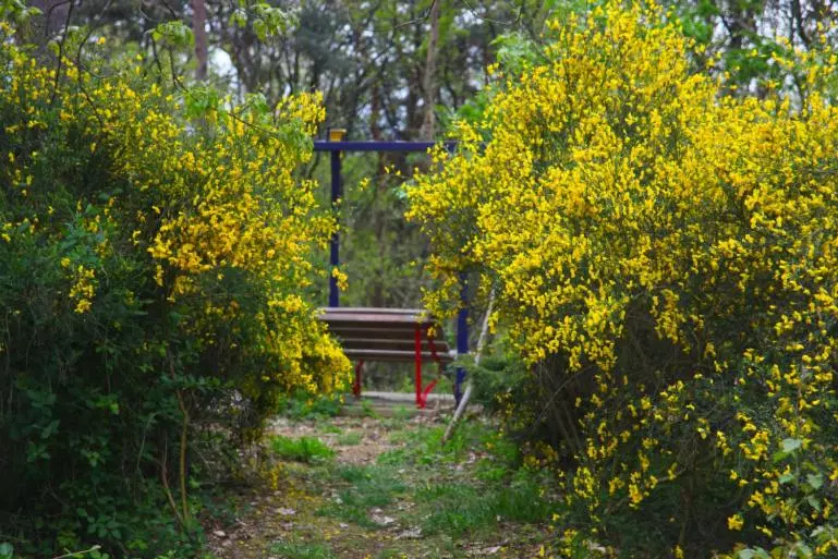 Aamiaismajoitus (B&B) Couette Et Café Chez Adrien