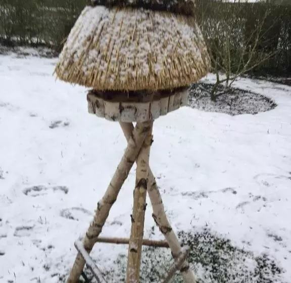 ホテル Fewo S Am Gutshaus Im Ostseeland